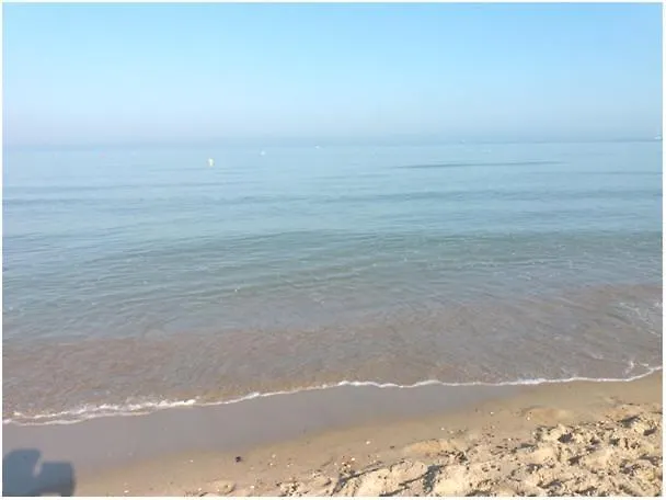 Marjori Met Gratis Parkeerplaats *